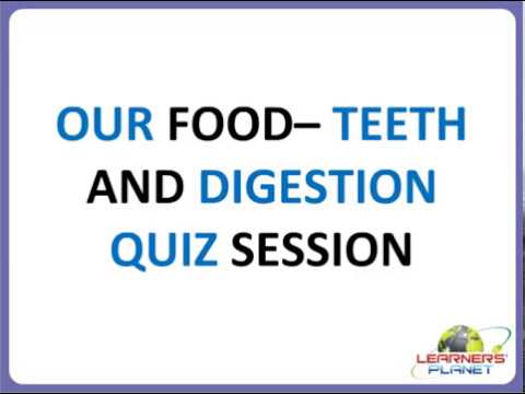 cbse 4th science our food teeth and digestion exercise grade 4 science worksheets link in desc youtube