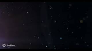 Organic Dust Particles With Various Levels Of Camera Focus - Free Video Footage