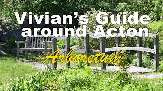Vivian’s Guide Around Acton - Arboretum