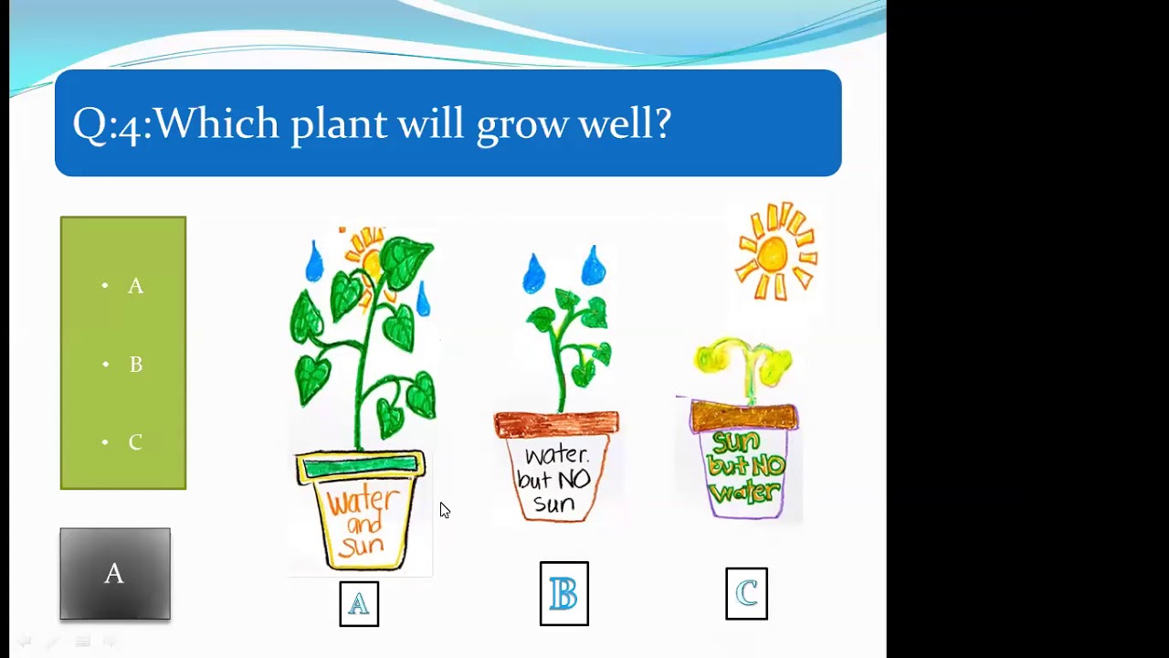 Class 3Subject Science Chapter 1 Looking after plants (June 26, 2020