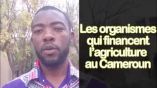 Les organismes qui financent l'agriculture au Cameroun