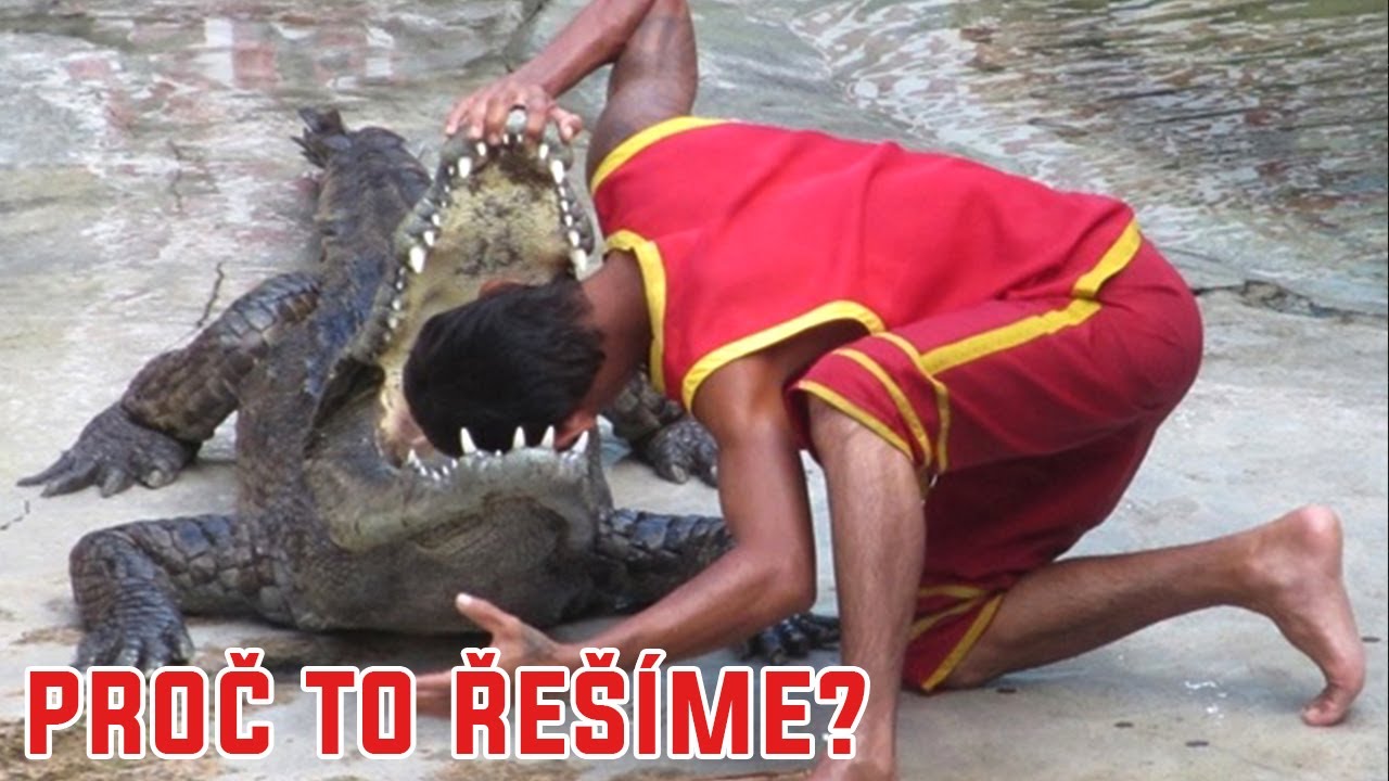 Darwinovy ceny 2022: Přehled neživých géniů - Proč to řešíme? #1489