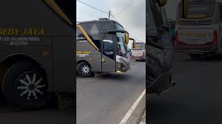 BASURI BUS SANTRI GAUL DEDY JAYA #teloletbasuri #busmania screenshot 5