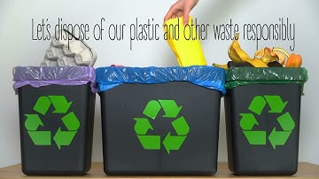 OECS ReMLIT Project update: Ocean action PSA