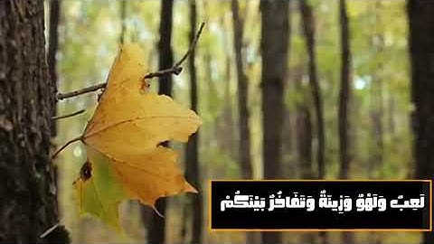 ما تَييسّر مِنْ سُورَة الحَدِيْد || القارئ:حاتم المالكي