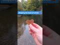 Who could have skipped this more times? 🪨 #stoneskimming #rockskipping #WILLITSKIM