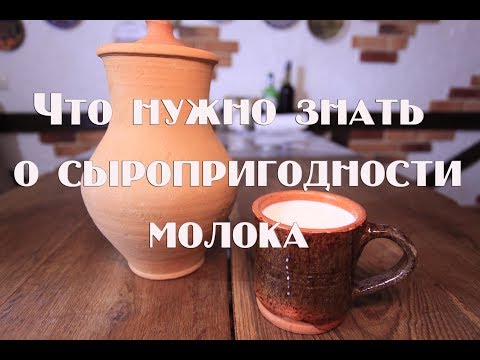 Что нужно знать о сыропригодности молока