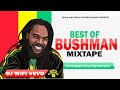 Best of bushman mix reggae culture 15 brand new second hand reggae mix 2022  dj wifi vevo