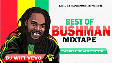 BEST OF BUSHMAN MIX (REGGAE CULTURE #15) BRAND NEW SECOND HAND REGGAE MIX 2022 | DJ WIFI VEVO