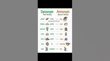 Vocabulary Boost: Learn Synonyms & Antonyms for English Language Success | Enhance Your Vocabulary