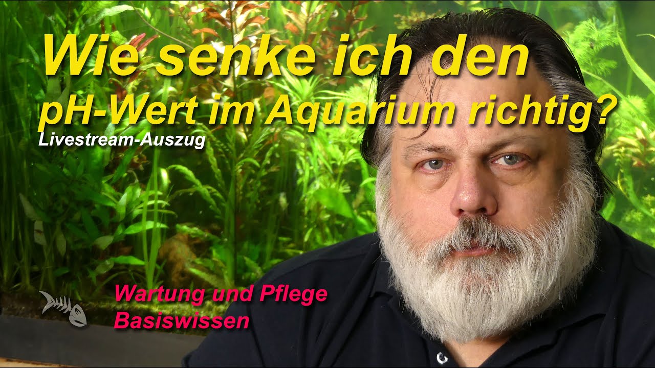 Wie senke ich den pHWert im Aquarium richtig mit mineralischen Säuren
