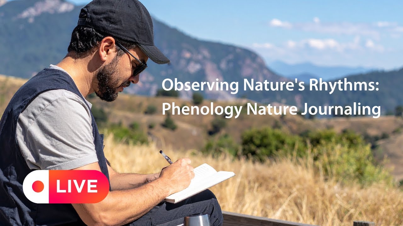 Observing Nature's Rhythms: Phenology Nature Journaling
