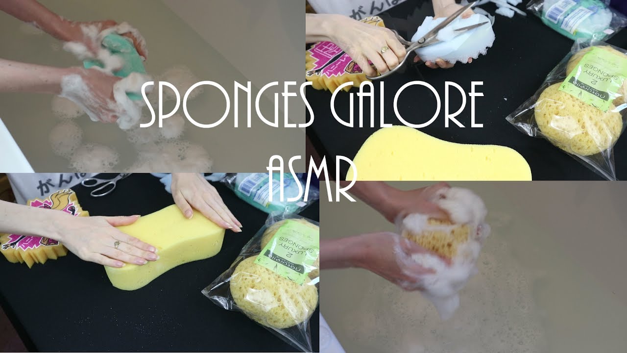 Spongey Goodness! ASMR