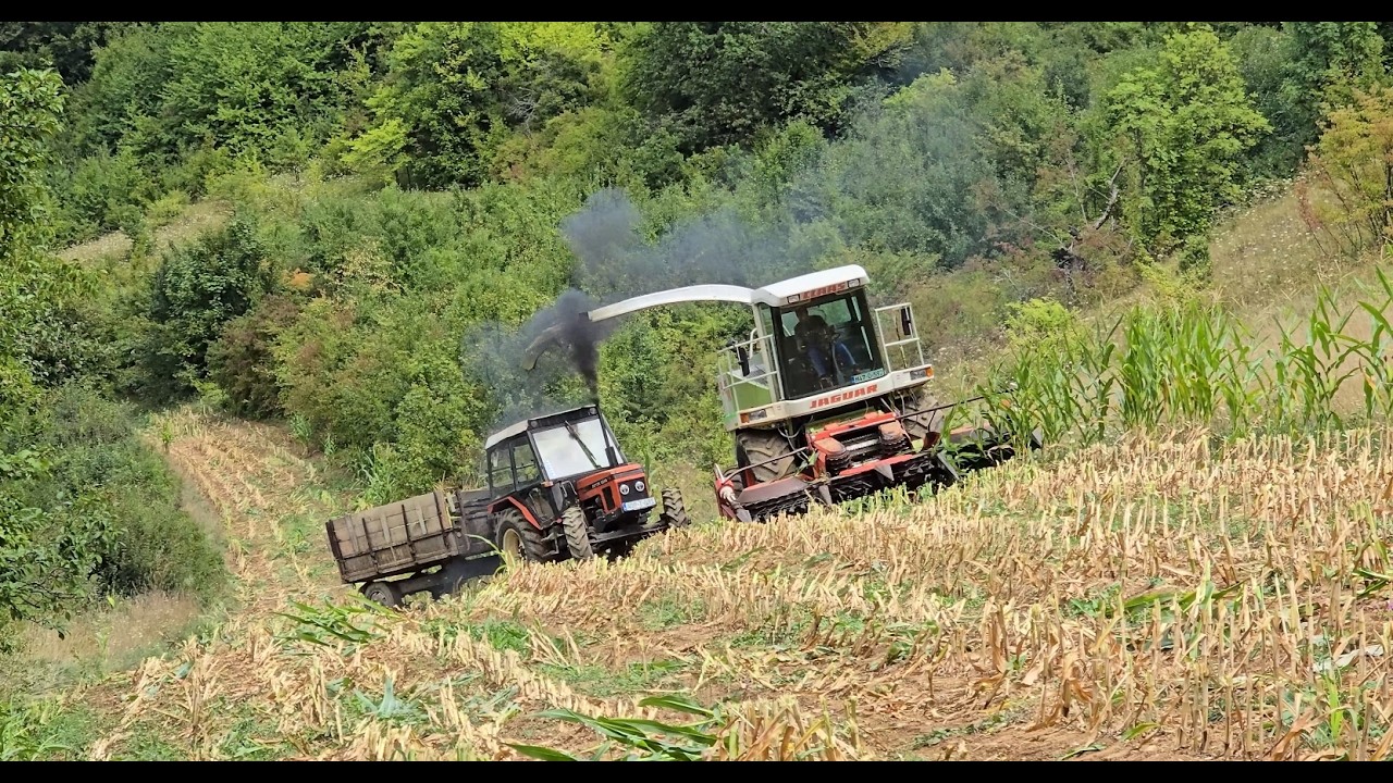 Claas Jaguar 840 - Silaža kukuruza 2025 | Zetor | Hurlimann | Deutz-Fahr | Tavol | IMT | Dong Feng