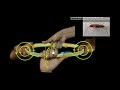 Magnetic field due to current carrying loop [Marathi] |Effects of Electric Current | 10 | Sci 1| KAI