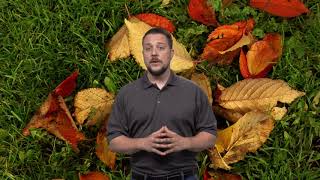 Turf Trust Lawn Fertilizer - The 4th Feeding Is The Most Important