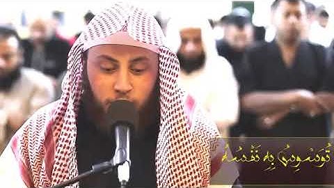 وَلَقَدْ خَلَقْنَا الْإِنسَانَ وَنَعْلَمُ مَا تُوَسْوِسُ بِهِ نَفْسُهُ) تلاوة القارئ حمزة محمد الفار