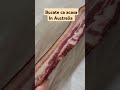 Bucate Ca AcasДѓ In Australia Https Youtu Be Q0IkyioYeEY Si QFgJpMx2jHYW 8vZ Bucate Ca AcasДѓ In Australia Https Youtu Be Q0IkyioYeEY Si QFgJpMx2jHYW 8vZ