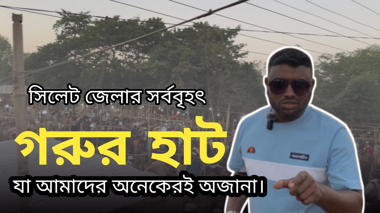 সিলেট জেলার সর্ববৃহৎ গরুর হাট | যা আমাদের অনেকেরই অজানা। #Sylhet #Bangladesh #গ্রাম #foryou 