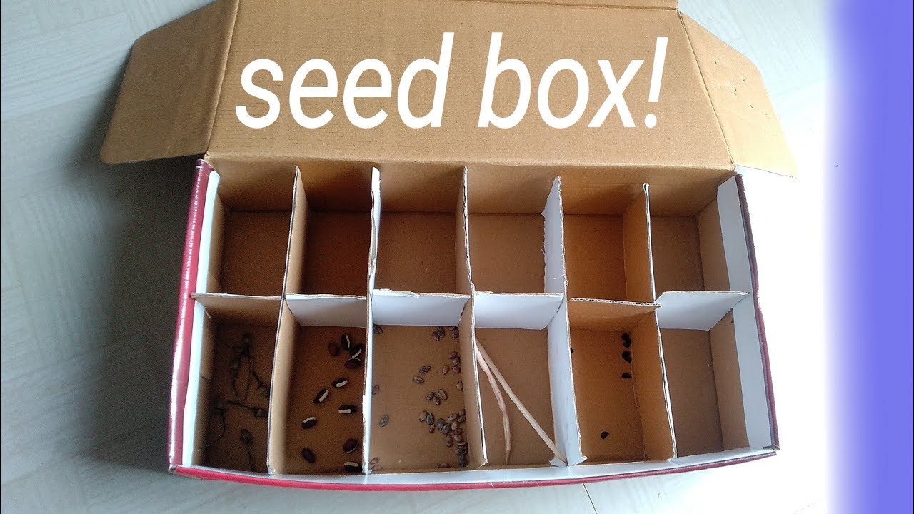 How to make SEED BOX? 