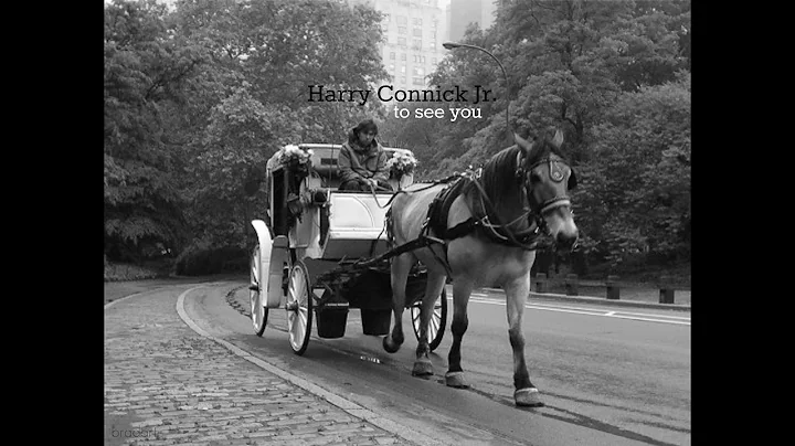 Harry Connick Jr. - to see you - full album - 1997