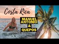 Discovering manuel antonio and quepos costa rica  selina hostel surf and skateboard with friends