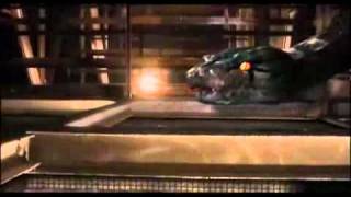 Boa vs. Piton ( ボア vs.パイソン) (David Flores, EEUU, 2004)