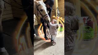 Анна Мария и её волшебная игра с лошадкой! 🐴✨