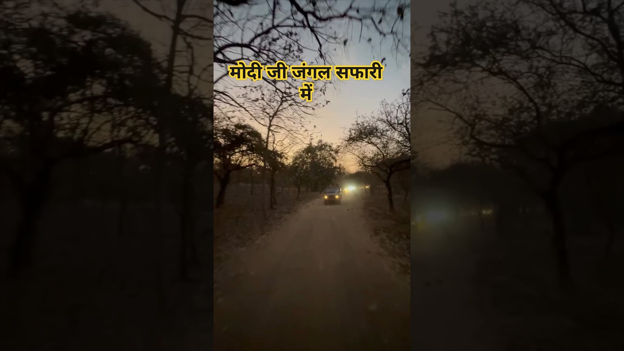 modi ji in jangale safari
