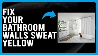 Details How To Fix Bathroom Walls Sweat Yellow (Why Do Your Bathroom Walls Sweat Yellow) Update