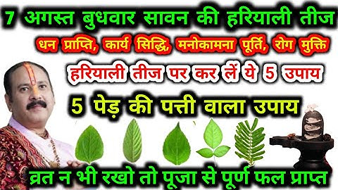 7 अगस्त बुधवार सावन का हरियाली तीज 5 पेड़ की पत्ती वाला उपाय | hariyali teej ke upay pradeep mishra