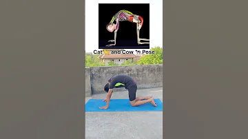 Cat 🐈 & Cow 🐄 Pose #yoga #yogasana #animalpose #shorts #ytshorts #catandcowpose