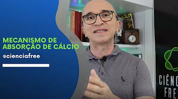 Quais são os fatores que favorecem a absorção do cálcio?