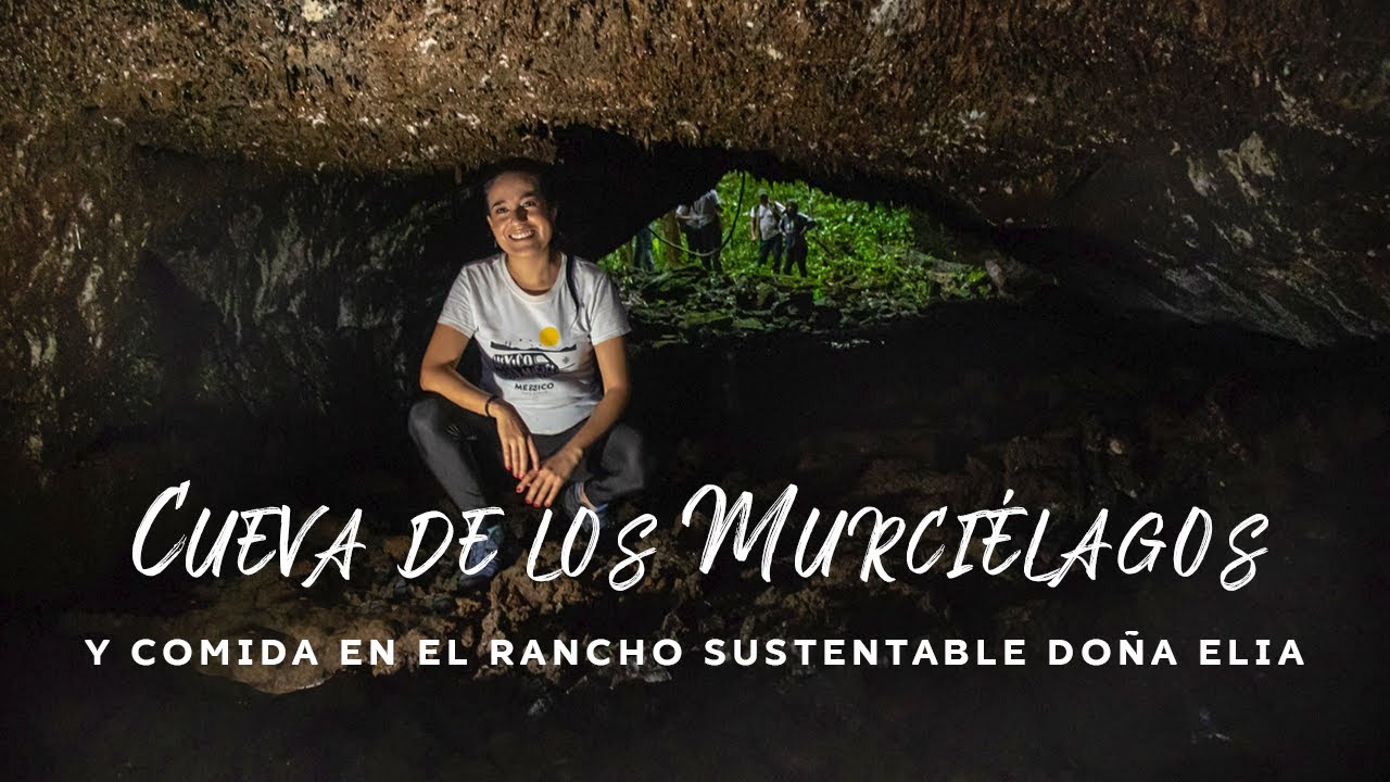 Cueva De Los Murci Lagos Y Rancho Sustentable Do A Elia En San Andr S