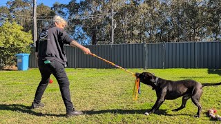 Battle of Wills Between Don & the Flying Boy Wonder AKA Bruce