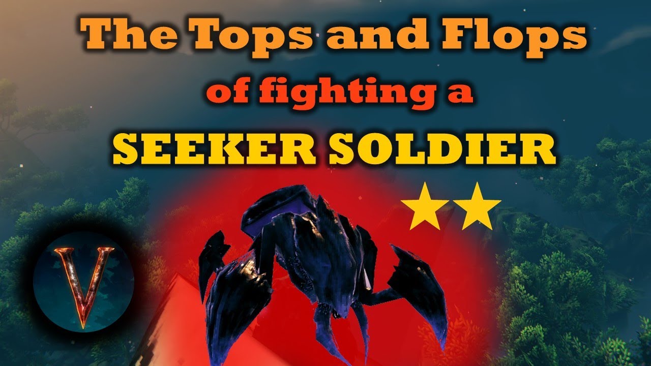 Valheim | The Tops and Flops of fighting a Two Star Seeker Soldier