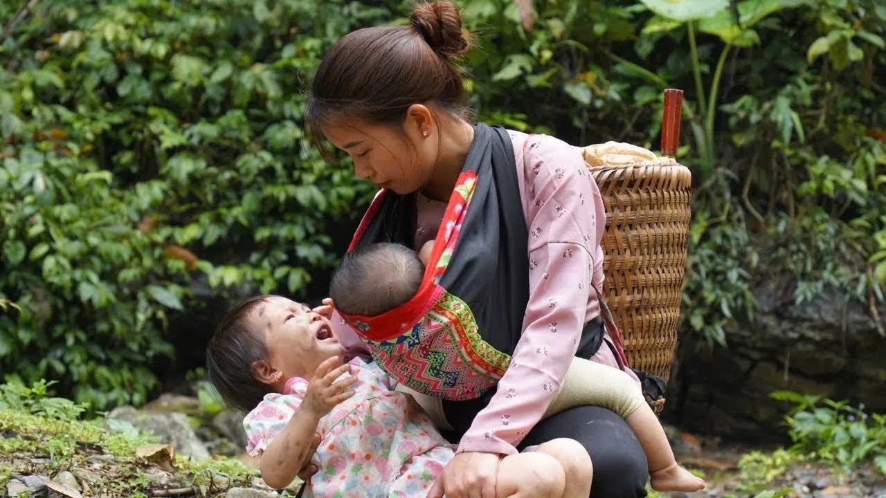 FULL VIDEO; A single mother goes to harvest bamboo shoots and helps a lost child in the forest.