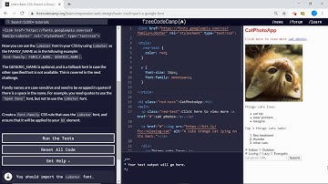 Basic CSS (7/44) | Import a Google Font | freeCodeCamp
