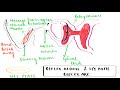Class-10- Biology- Control and Coordination- Reflex Action and Reflex Arc