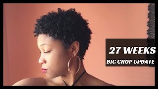 Big Chop Weekly Update: 27 Weeks