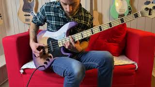 Video thumbnail of "The Wellerman - Solo Bass Cover (with tabs)"