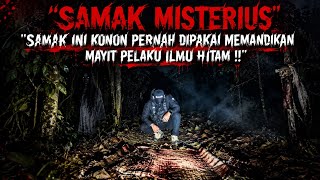 SAMAK INI BIKIN MERINDING.. ASAL-USULNYA BIKIN PENASARAN.. ‼️