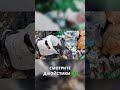 Нашёл ретро-игры: Тетрис, джойстики и советский автомобиль! 🕹️ #находки #барахолка #заработок #поиск