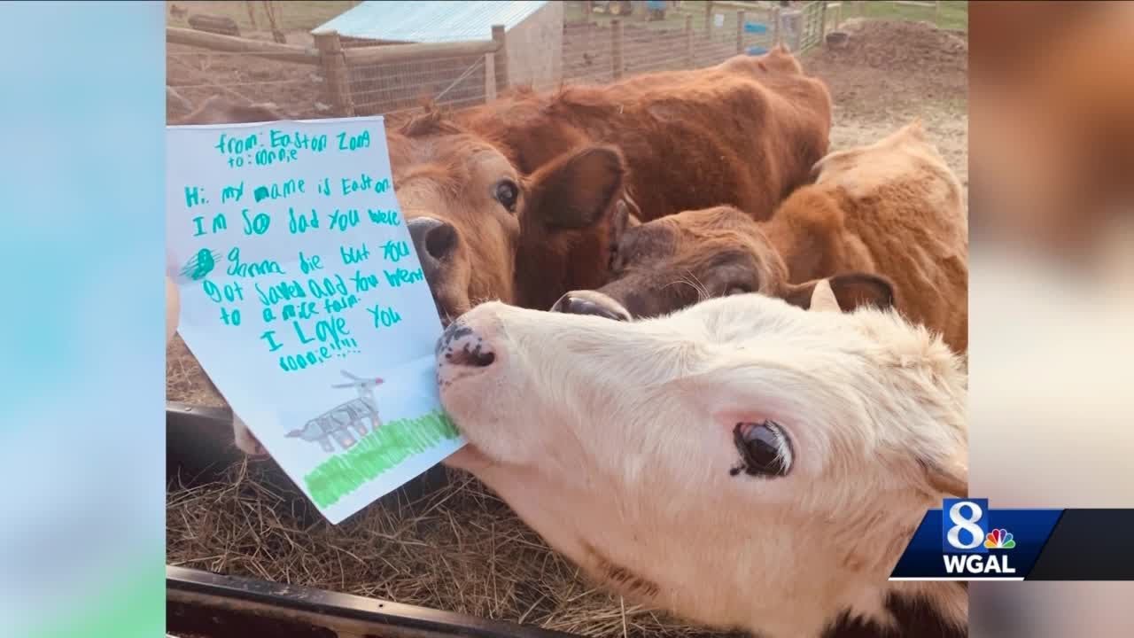 York County farm animal sanctuary launches pen pal program for children