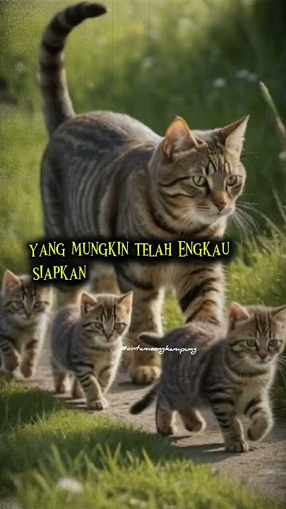 jalani yg telah ditetapkan sama Alloh
