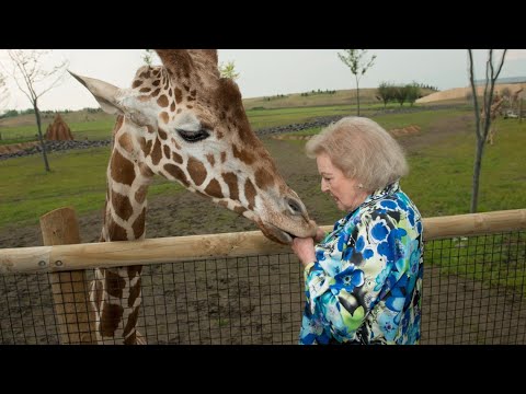 Video: Pet Scoop: Penerbangan Anjing Hentikan di LaGuardia, Betty White Memberi Gorilla Ulang Tahun