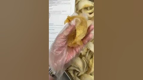 perfect orange swallow nest 🐦‍⬛🐦‍⬛