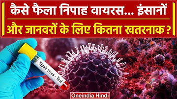 Nipah Virus: आखिर इतनी तेजी से कैसे फैलने लगा ये Virus, कितना खतरनाक है ? | वनइंडिया हिंदी