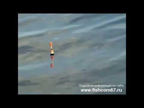 Ловля окуня на малька