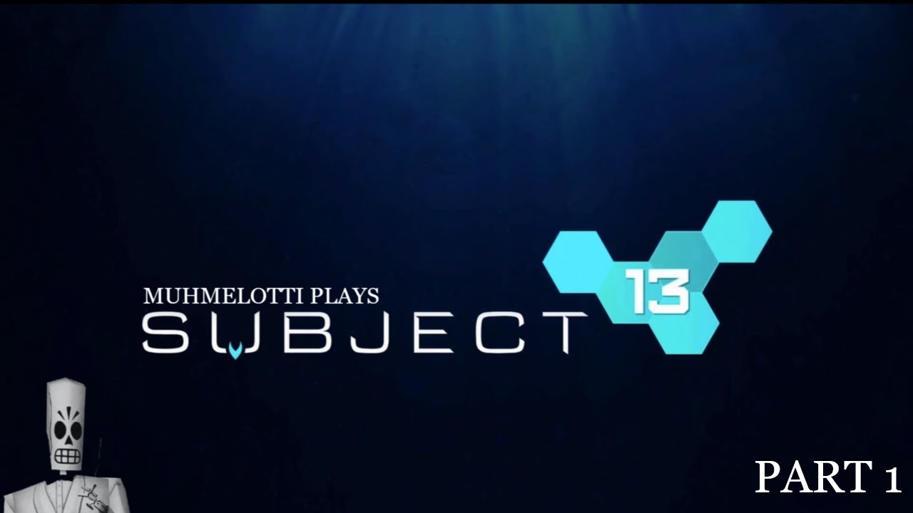 Subject 13